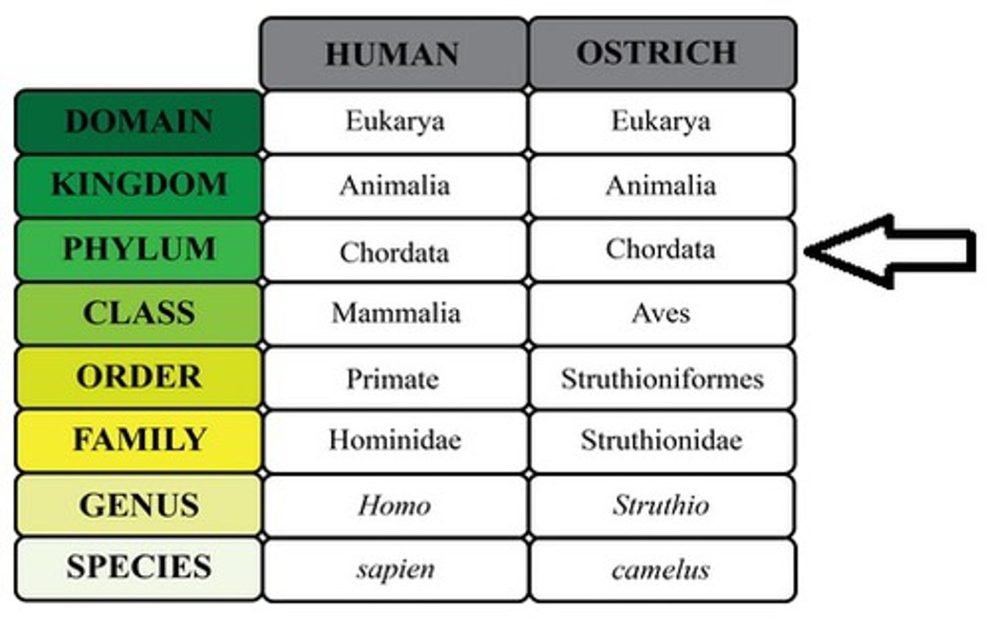 <p>Group of closely related classes</p>