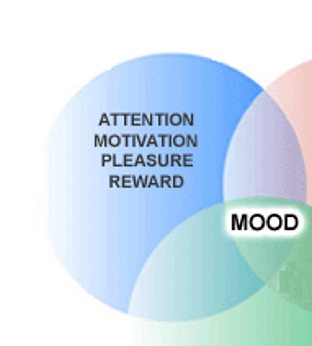 <p>neurotransmitter that regulates brain arousal and other functions like mood, memory, hunger, and sleep</p>