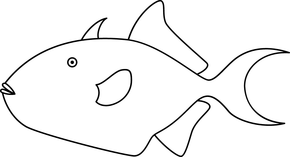 <p>Big mouth<br>Stout and heavy body<br>Size: 40 cm</p>