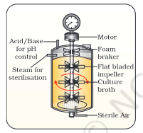 <p>which type of stirrer is this</p>