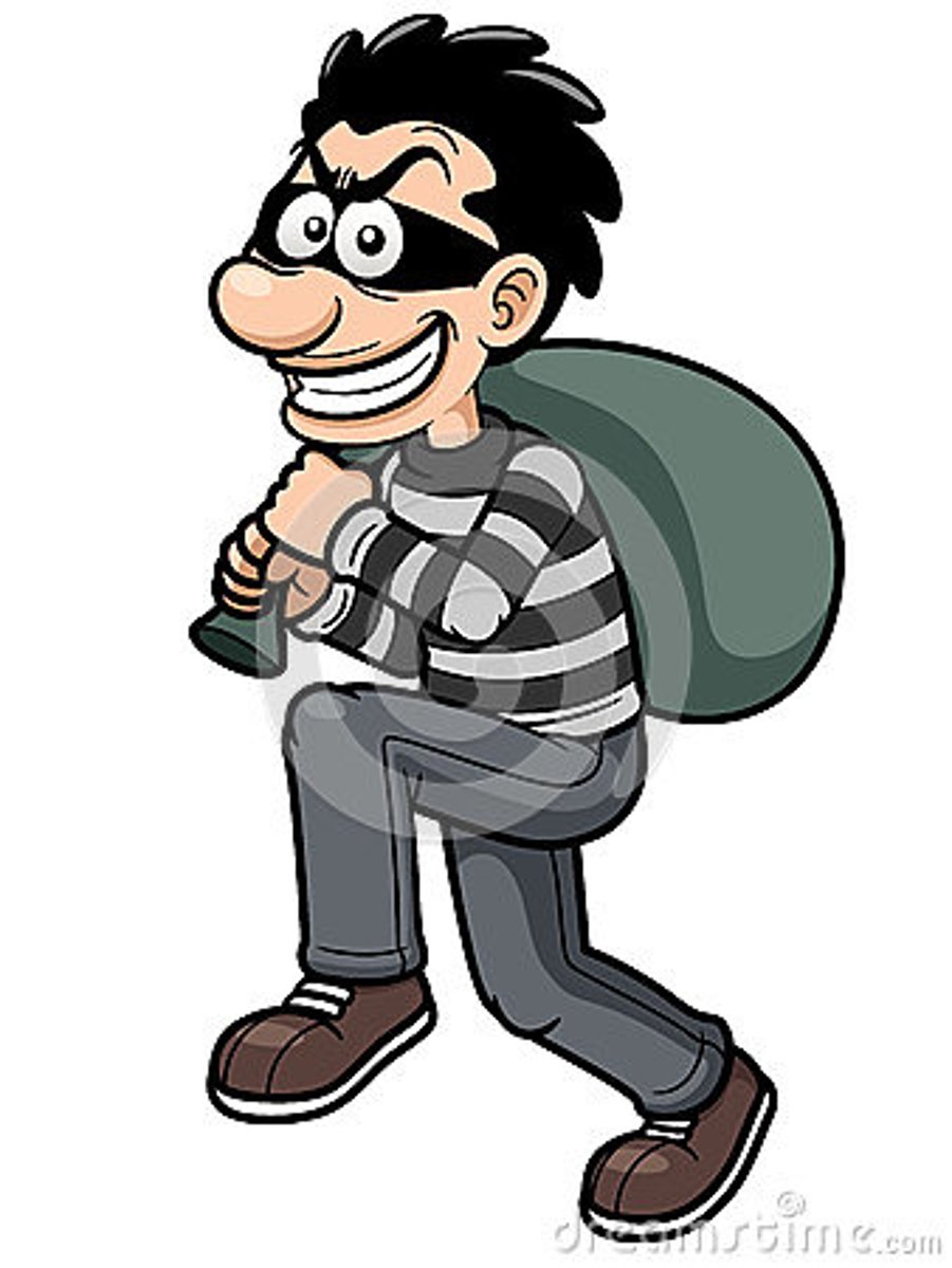 <p>thief; burglar</p>