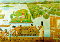 <p>Raised fields constructed along lake shores in Mesoamerica to increase agricultural yields.</p>