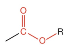 <p>What functional group is this </p>