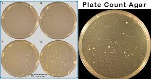 <p>What is PCA and what is it used for?</p>