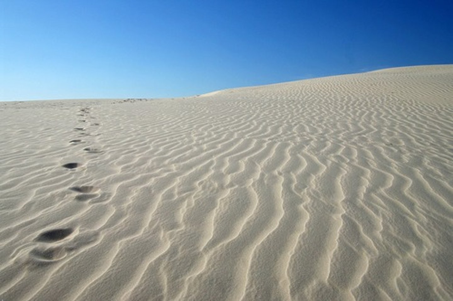 <p>пустеля</p>