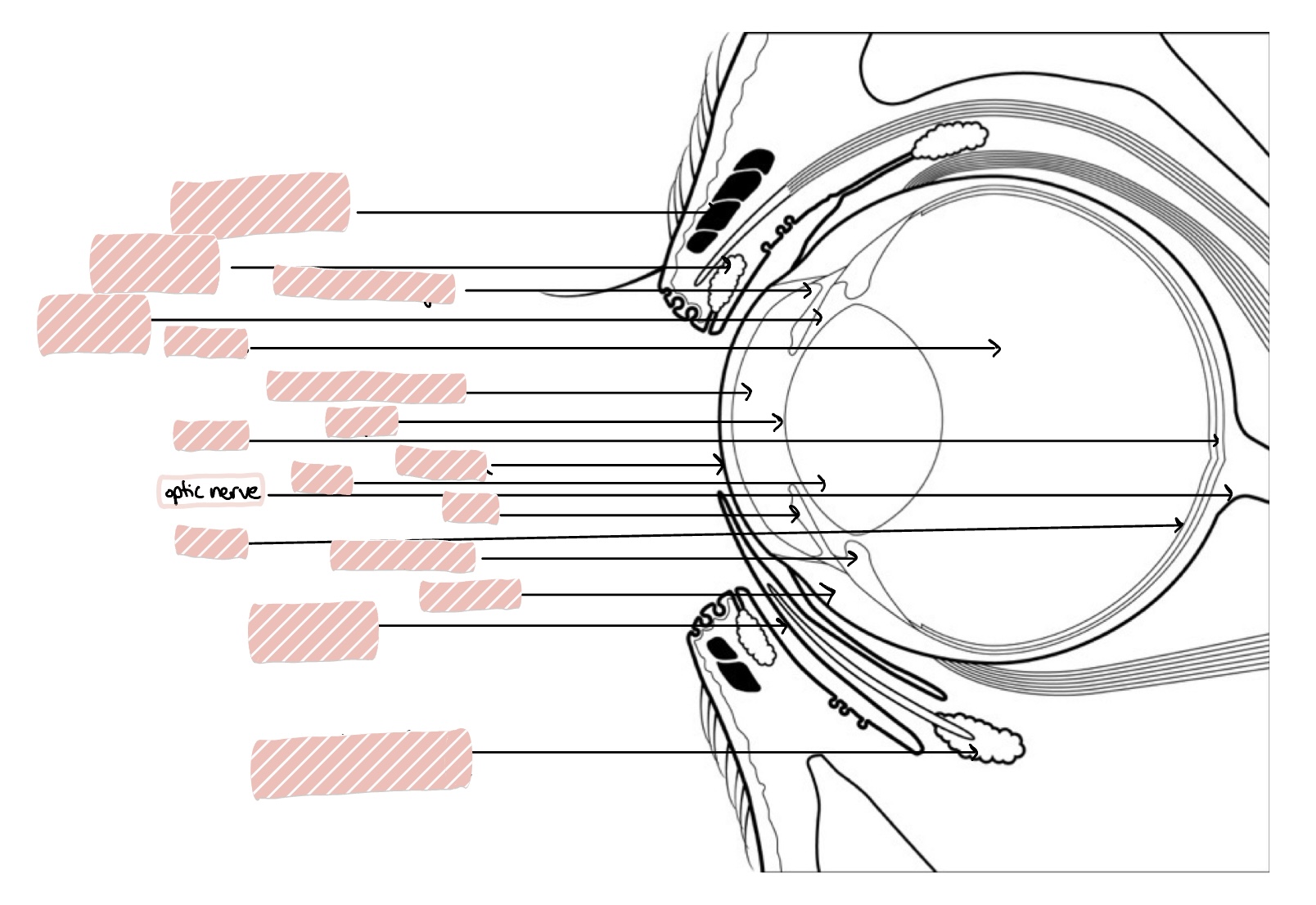 knowt flashcard image