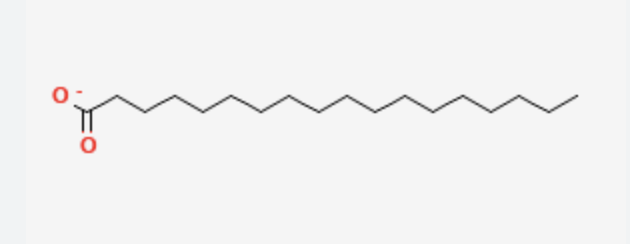 <p>18 carbons, no double bonds</p><p>saturated fatty acid</p><p>n-octadecanoate</p>