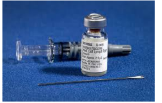 <p><span style="background-color: transparent;"><span>what invention is this?</span></span></p>