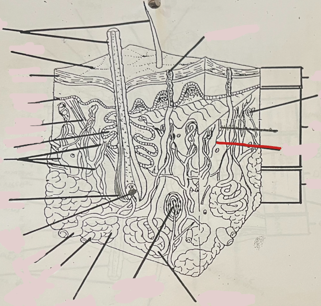 <p>What is this?</p>
