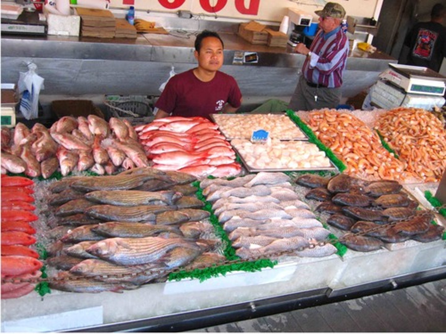 <p>the fish market</p>