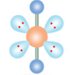 <p>What shape is this?</p>