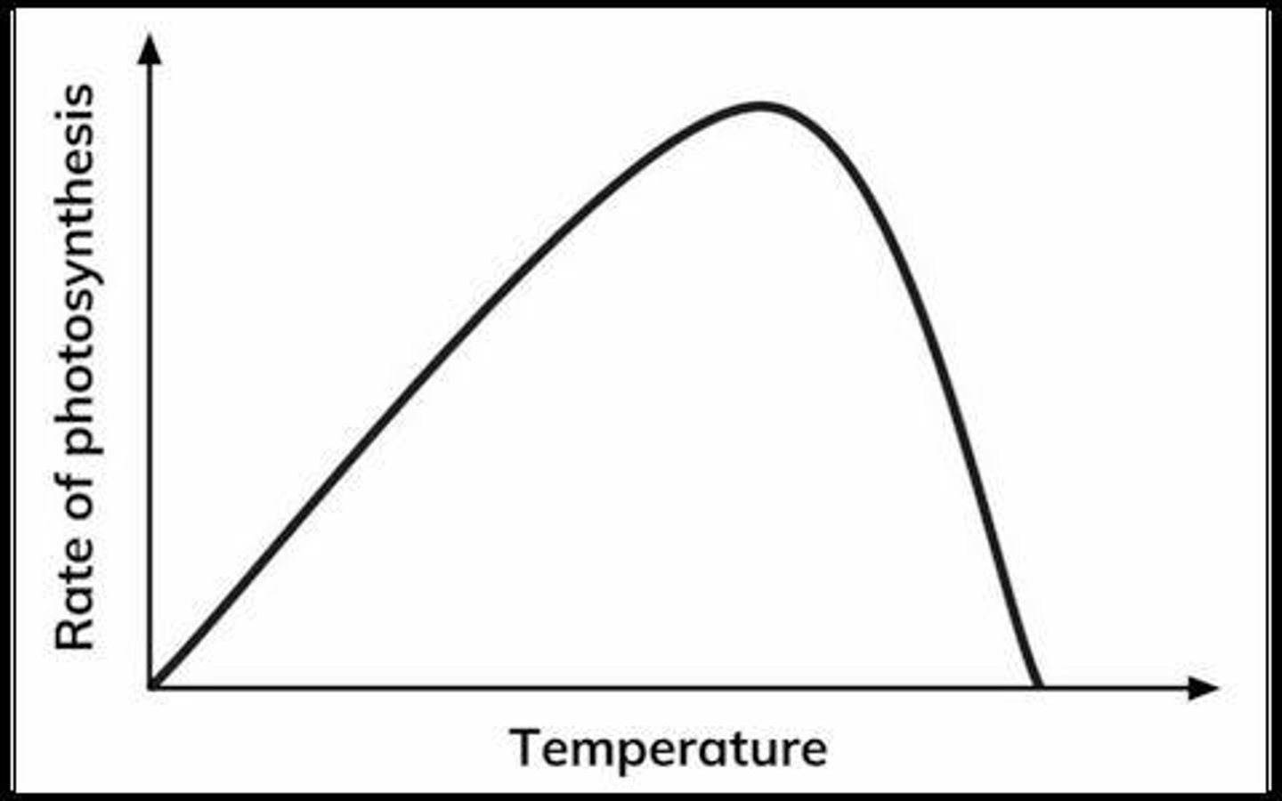 <p>Increased temperature increases the rate of photosynthesis up to a certain point.</p>