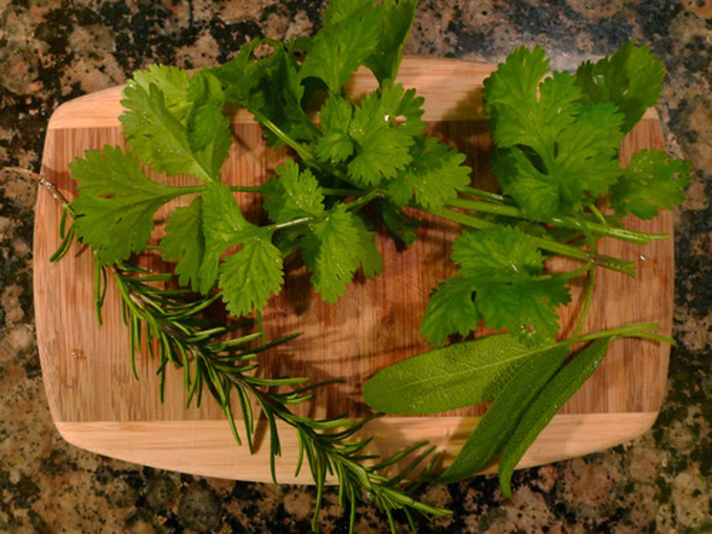 <p>a plant used for flavoring or medicine</p><p>(thảo mộc)</p><p>=botanical (thuộc thực vật)</p><p>&gt;</p>