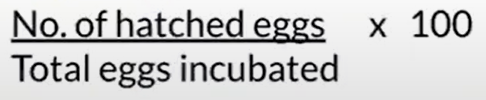 <p>Measurement of the</p><p>efficiency of the</p><p>BREEDER FARM &</p><p>HATCHERY</p>
