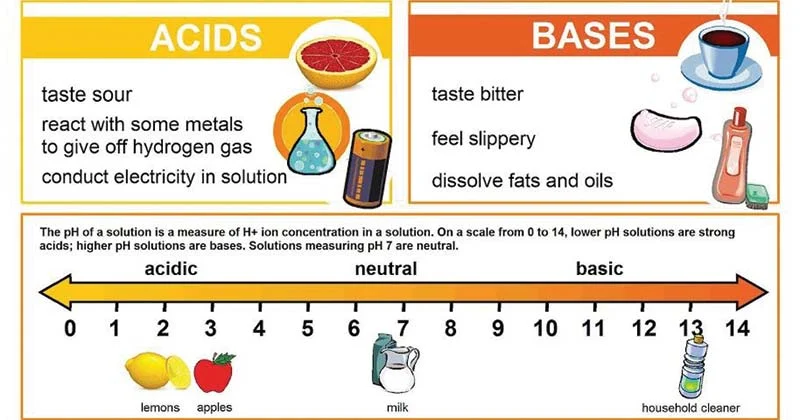 Acids are biological compounds that release hydrogen ions (H+) when placed in solution

* Hydrochloric acid (HCl) is an important compound found in our stomachs and is necessary for the digestion of certain foods 
* Acids have a low pH on the pH scale **(1 - 6.9)**.  The more H+ ions released by the substance the more acid the substance is (closer to 1) 
* Acids are proton **donors**