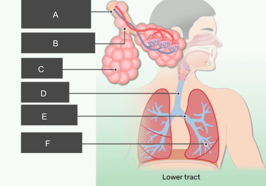 <p>What is C?</p>