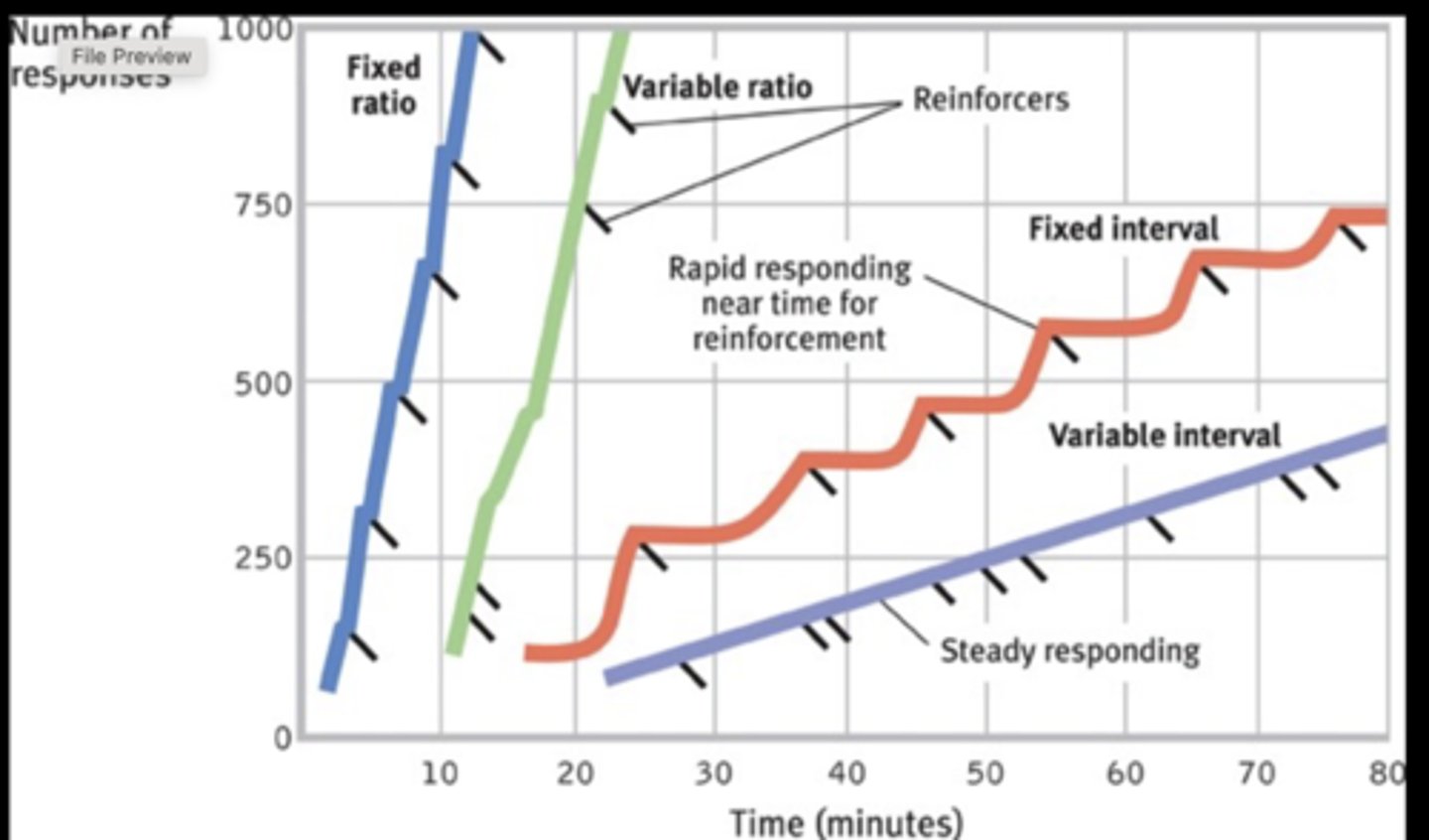 <p>Fixed ratio and variable ratio</p><p>- having it not based on a certain amount of time</p>