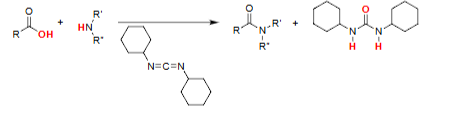 <ul><li><p>Carboxylic acid and amine combine to form an amide.</p></li><li><p>Carbodiimide (e.g., DCC) activates the acid for coupling.</p></li><li><p>Enables direct amide formation from unreactive carboxylic acids.</p></li></ul><p></p>