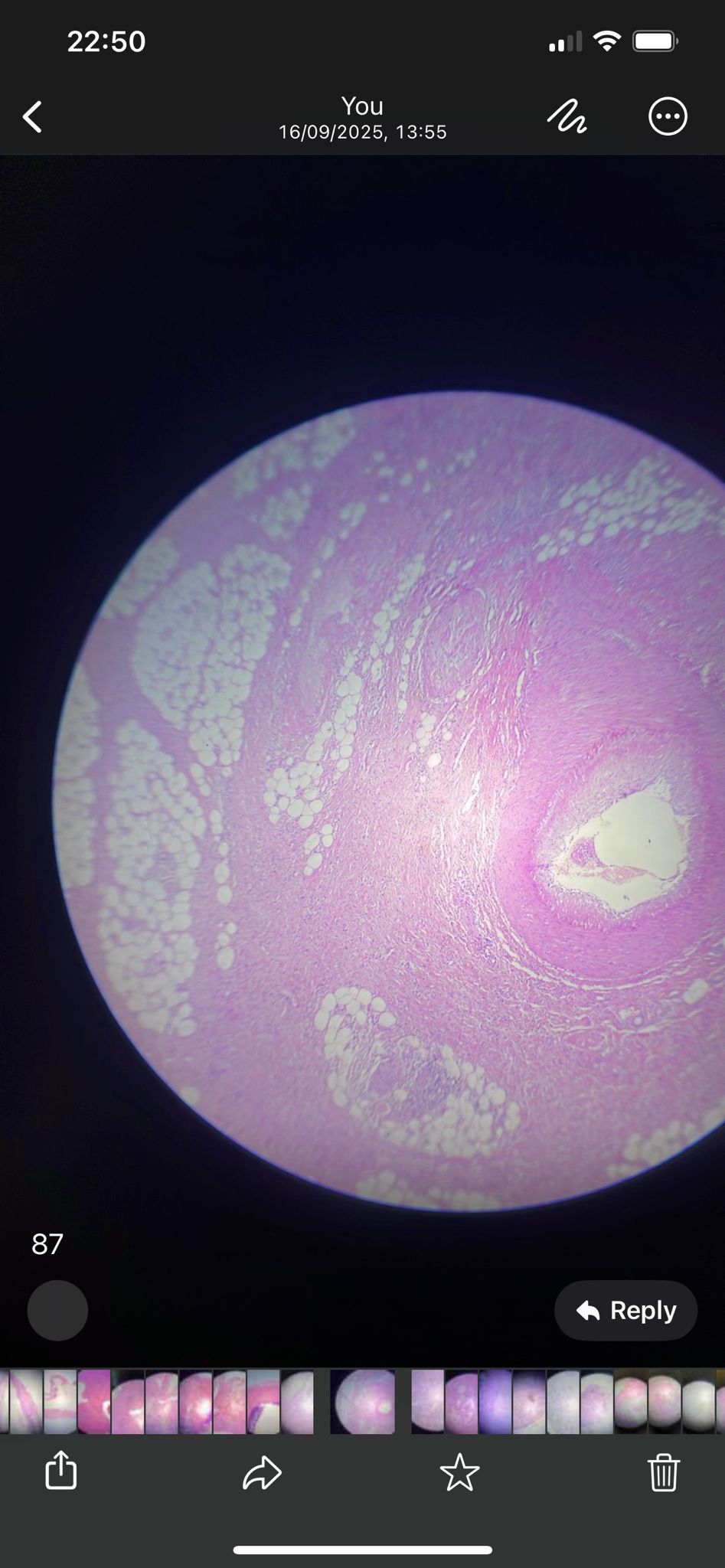 knowt flashcard image