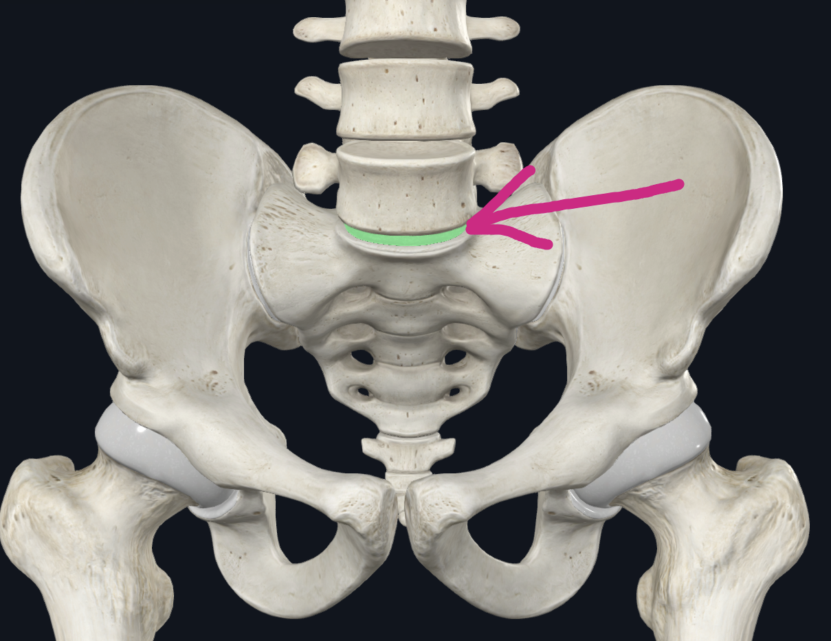 <p>name the joint</p>