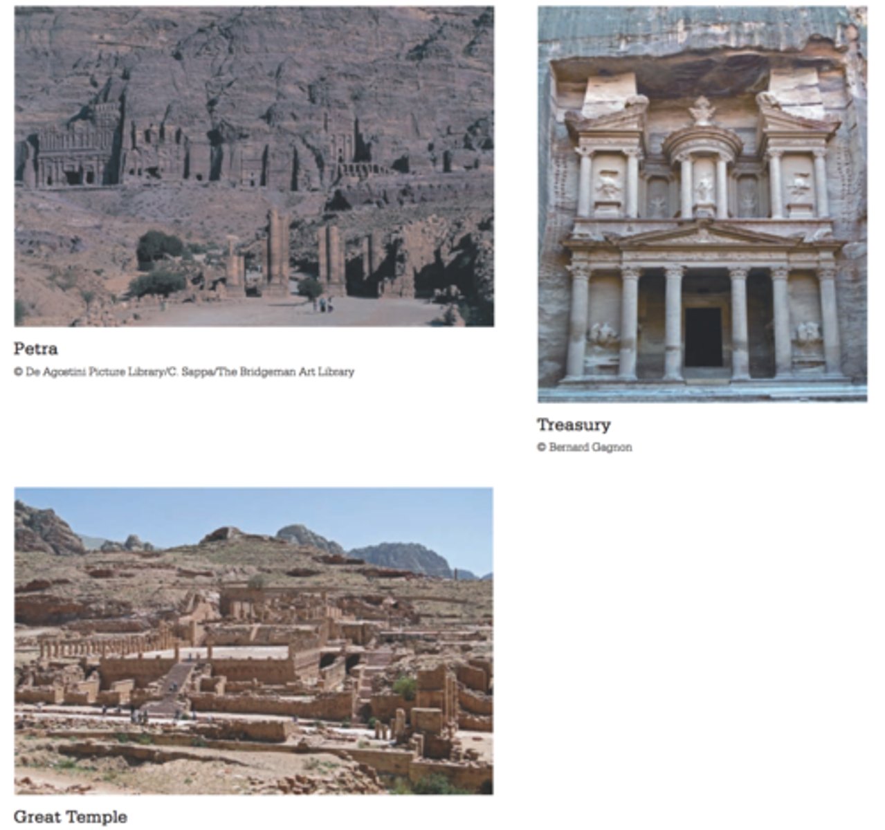 <p>dynasty????</p>