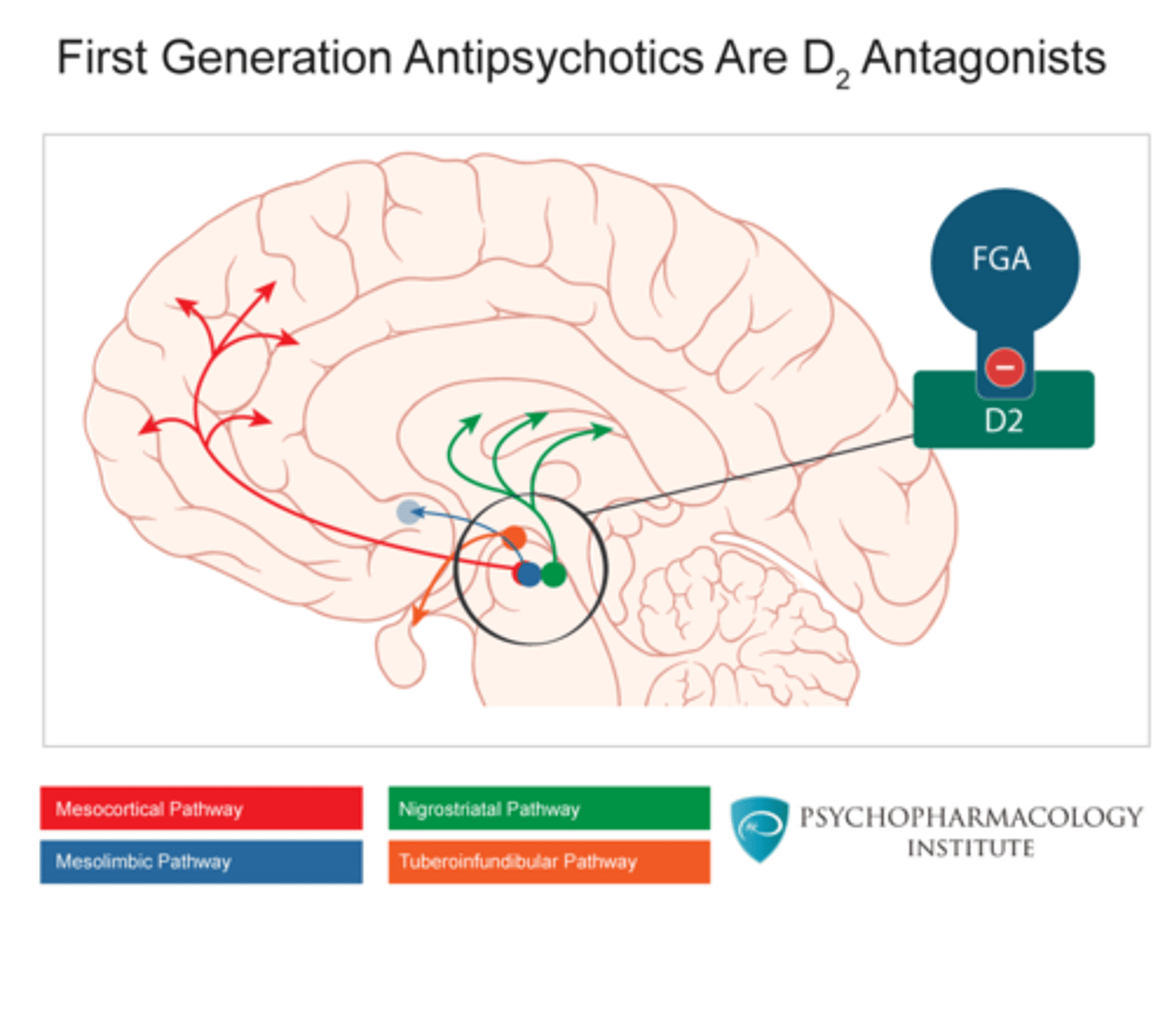 <p>They are high affinity D2 antagonists.</p><p>They block D2 receptors in nucleus accumbens because people with schizophrenia have overactivity in D2 receptors.</p><p>- reduces positive symptoms in schizophrenia</p>