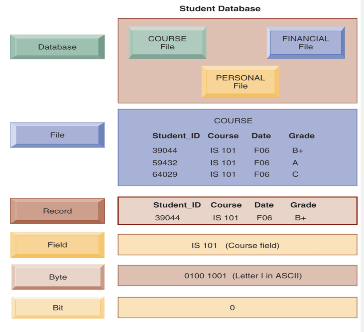 <p>Organization of data in hierarchy: bits → bytes → fields → records → files → databases.</p>