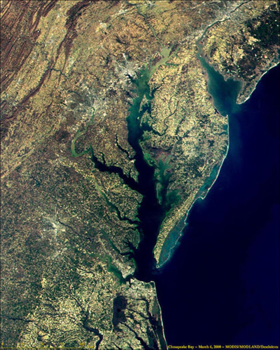 <p>Region including Virginia and Maryland</p>