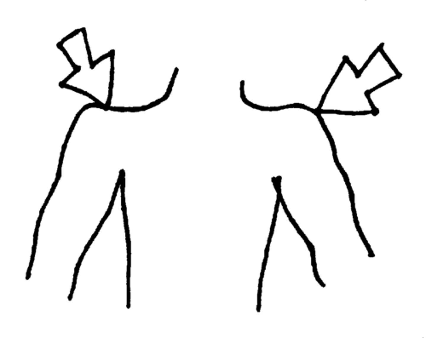 <p>плечи</p>