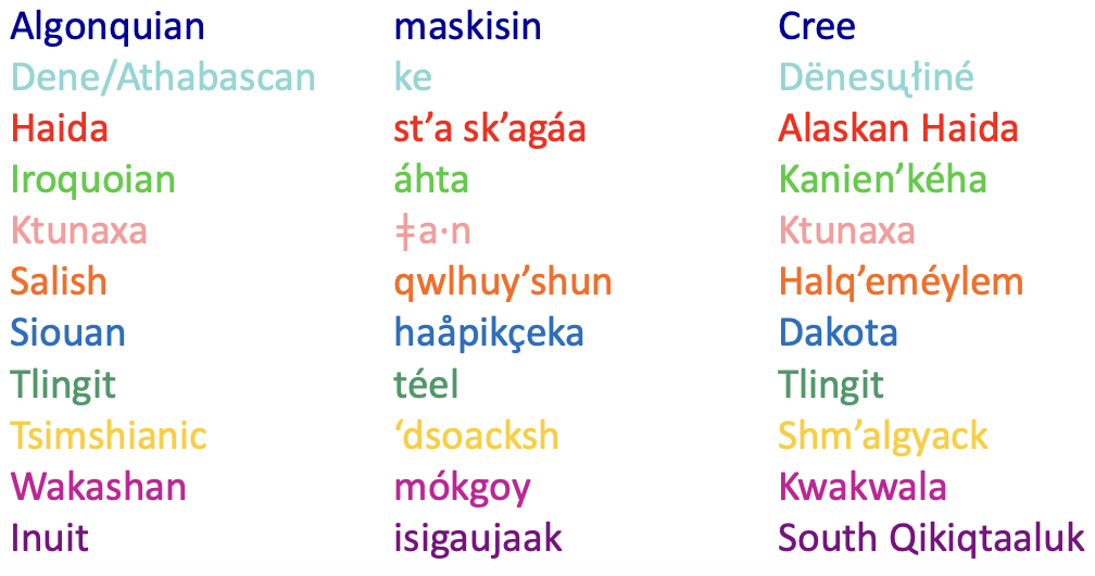 <ul><li><p>These languages are all very different, they have little in common with each other</p></li><li><p>For the word “shoe”</p></li></ul><p></p>