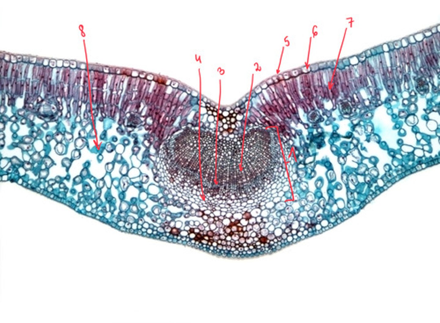 <p>2</p>