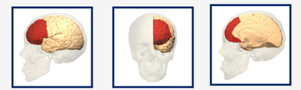 <p>What structure is represented by this image?</p>