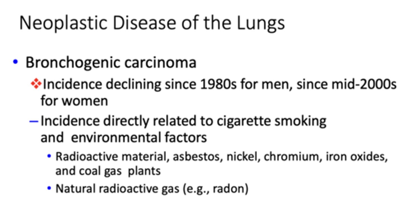 <p>Bronchogenic carcinoma</p>