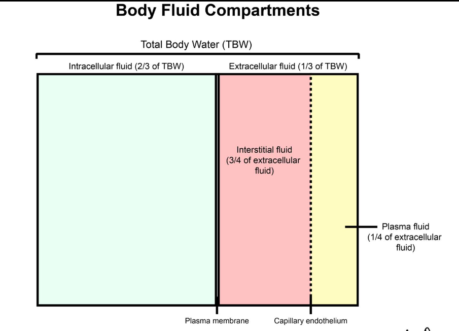 <p>Fluid Compartments in the Body: Why do we care?</p>