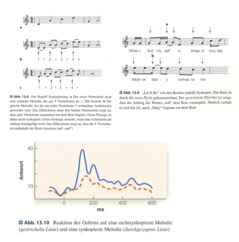 <p class=""><strong>Kurzversion:</strong><br>Synkopation entsteht, wenn Noten <strong>nicht auf dem Beat</strong>, sondern im <strong>Offbeat</strong> erklingen. Sie bringt Spannung, Dynamik und Groove in Musik und aktiviert das Gehirn stärker als regelmässige Rhythmen.</p><div data-type="horizontalRule"><hr></div><p class=""><strong>Langversion:</strong></p><ul><li><p class=""><strong>Regelmässigkeit bei Hymnen</strong>:</p><ul><li><p class="">In Stücken wie der <strong>amerikanischen Nationalhymne</strong> fällt jede Note <strong>exakt auf den Beat</strong>, was eine <strong>klare rhythmische Struktur</strong> ergibt.</p></li></ul></li></ul><p class=""></p><ul><li><p class=""><strong>Synkopation</strong>:</p><ul><li><p class="">Tritt auf, wenn Noten <strong>zwischen den Beats</strong> (im Offbeat) erscheinen.</p></li><li><p class=""><strong>Verändert die Betonung</strong> und erzeugt ein <strong>sprunghaftes, rhythmisch interessantes Gefühl</strong>.</p></li><li><p class=""><strong>Beispiel</strong>: <em>Let It Be</em> von den Beatles – Noten beginnen leicht <strong>vor dem erwarteten Beat</strong>, was den typischen <strong>Groove</strong> erzeugt.</p></li></ul></li></ul><p class=""></p><ul><li><p class=""><strong>Musikstile</strong>:</p><ul><li><p class="">Jazz, Pop und viele moderne Genres <strong>nutzen Synkopation bewusst</strong> für rhythmische Spannung.</p></li></ul></li></ul><p class=""></p><ul><li><p class=""><strong>Neurowissenschaftliche Befunde</strong>:</p><ul><li><p class="">Das Gehirn reagiert <strong>stärker auf synkopierte Rhythmen</strong>, da sie <strong>weniger vorhersehbar</strong> sind.</p></li><li><p class="">Diese <strong>unerwarteten Muster erzeugen Spannung</strong> und fördern <strong>emotionale Beteiligung</strong>.</p></li></ul></li></ul><p></p>