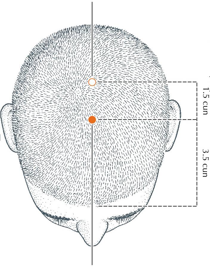 <p>DU-21</p>
