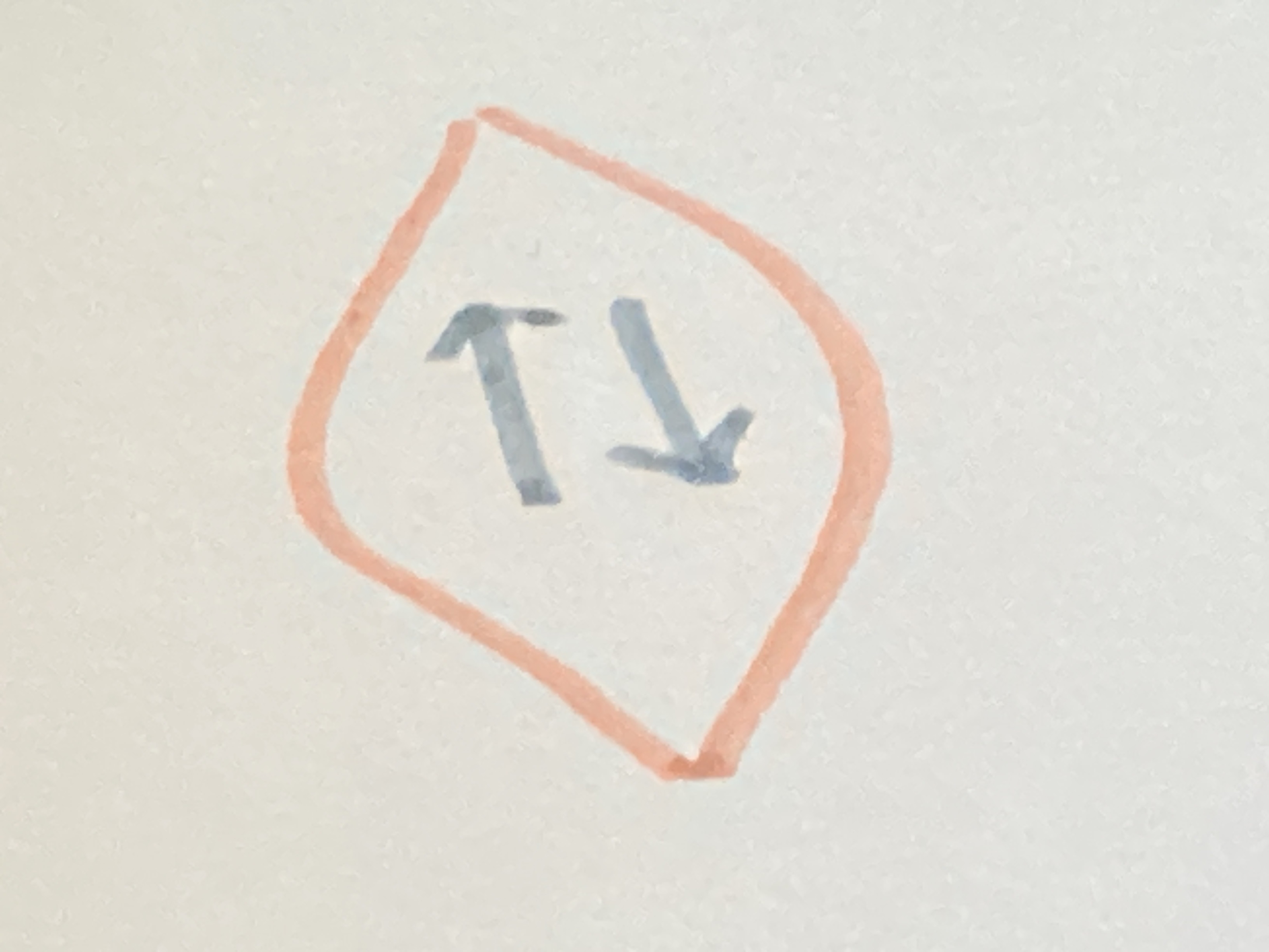 term image