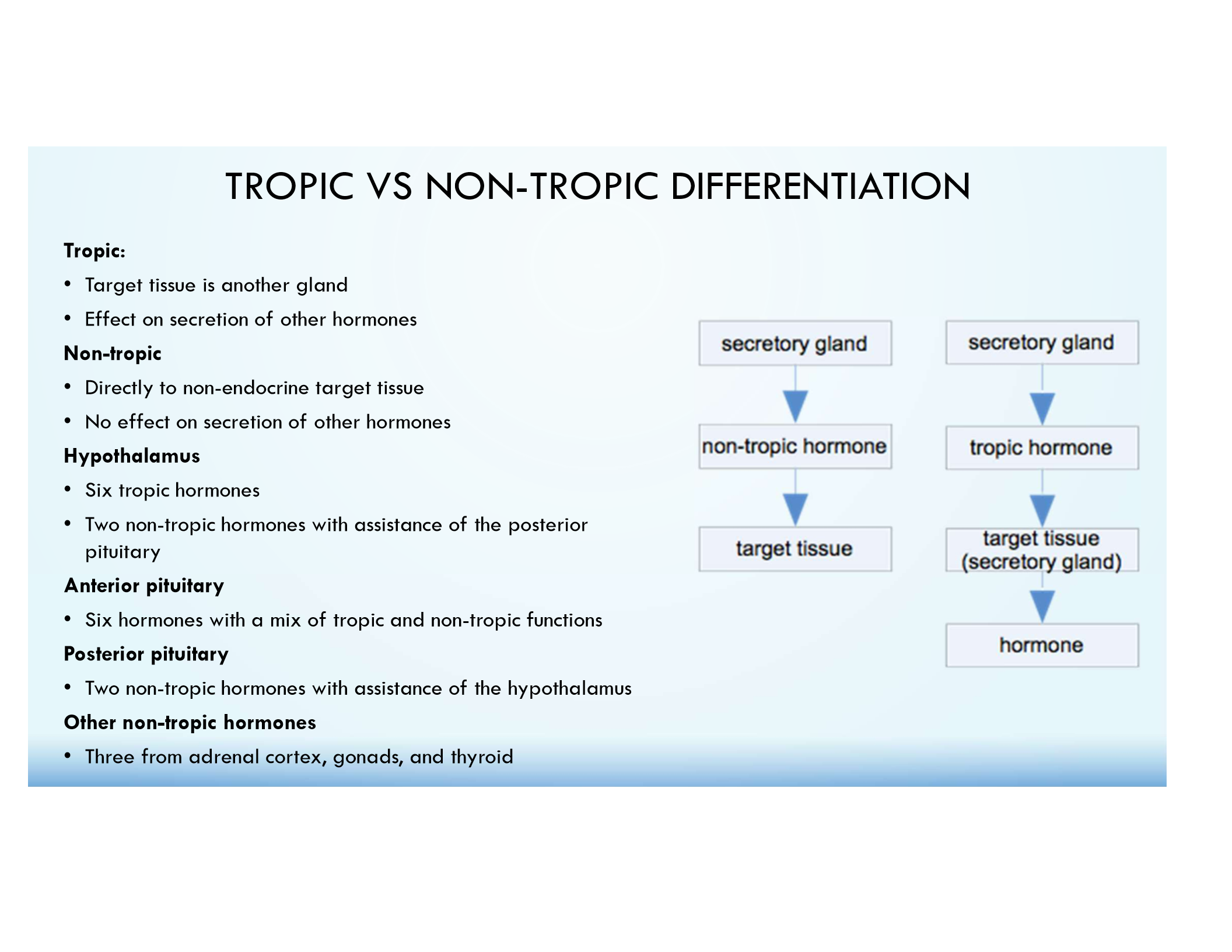 <p>Act on other endocrine glands to stimulate hormone release.</p>