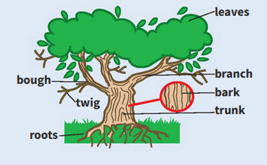 term image