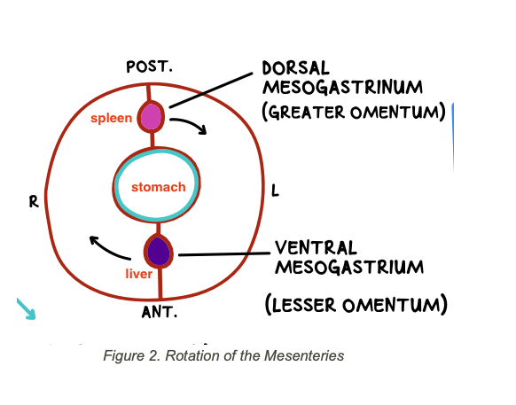 <p>reference</p>