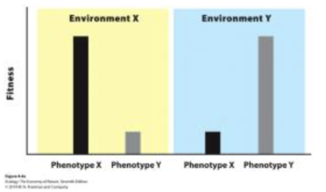 <p>phenotypes experiences higher fitness in one environment compared to challenging environments&nbsp;</p>