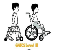 <ul><li><p>level III</p><ul><li><p>patient will walk with assistive device with limitations in walking outdoors and in the community</p></li></ul></li></ul><p></p>
