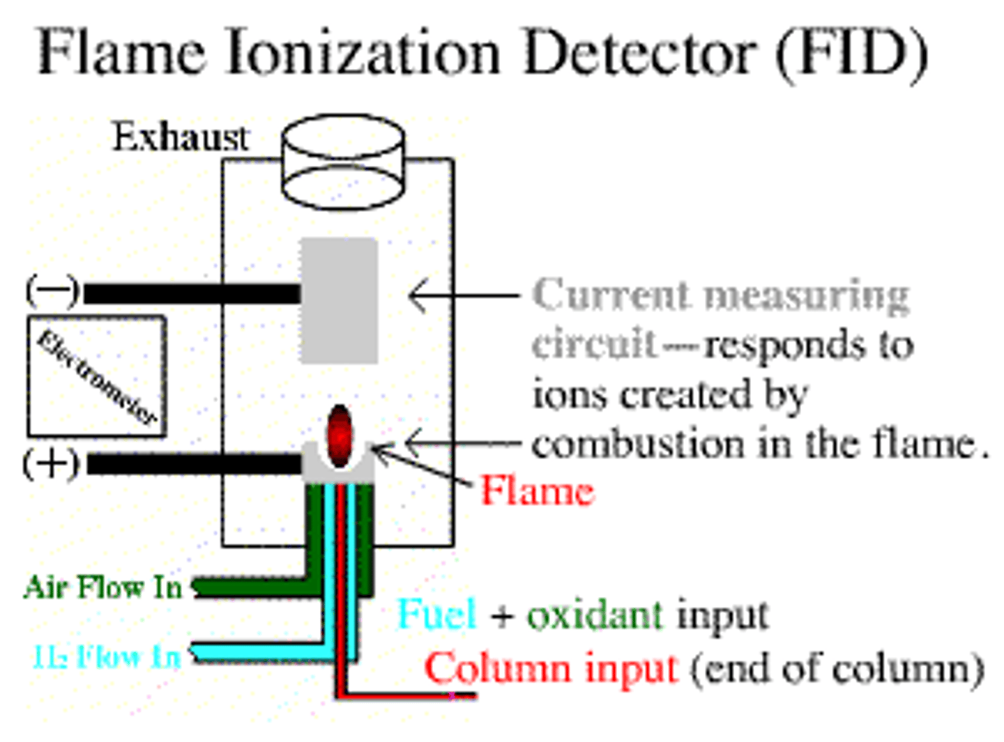 <p>mass detectors w/ peak area proportional to # of susceptible carbon atoms</p>
