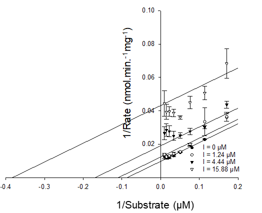<ul><li><p style="text-align: justify;"><span><span>Inhibitor binds to the ES complex</span></span></p></li></ul><ul><li><p style="text-align: justify;"><span><span>Parallel lines in Lineweaver-Burk plot</span></span></p></li><li><p style="text-align: justify;"><span><span>Both </span><em><span>K</span></em><sub><span>m</span></sub><span> and </span><em><span>V</span></em><sub><span>max</span></sub><span> reduced by same amount, (1 + [I]/</span><em><span>K</span></em><sub><span>i</span></sub><span>)</span></span></p></li><li><p style="text-align: justify;"><span><strong><span>Increasing</span></strong><span> substrate concentration </span><strong><span>increases </span></strong><span>inhibition.</span></span></p></li></ul><p></p>