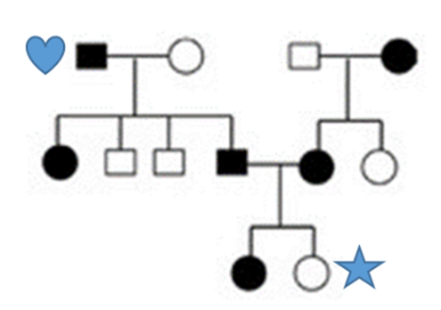 <p>Question options:</p><p>The trait is dominant, every affected person has affect parent</p><p>The trait is recessive, it skips a generation</p><p>The trait is Y linked, passing only from father to son</p><p>The trait is X linked, Dad passes to daughter but not to son</p><p>The star person is male</p><p>The star person is female</p><p>The star person is heterozygous</p><p>The star person is homozygous recessive</p><p>The heart person is male</p><p>The heart person is female</p><p>The heart person is heterozygous</p><p>The heart person is homozygous dominant</p>