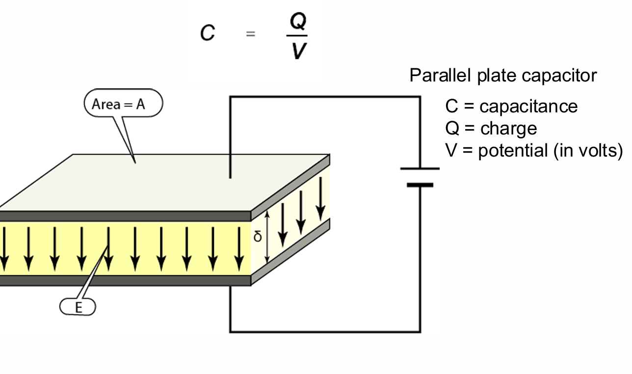 <p>the ability of a system to store electrical charge</p><ul><li><p>dependent on area of plate and separation of plates</p></li></ul><p></p>