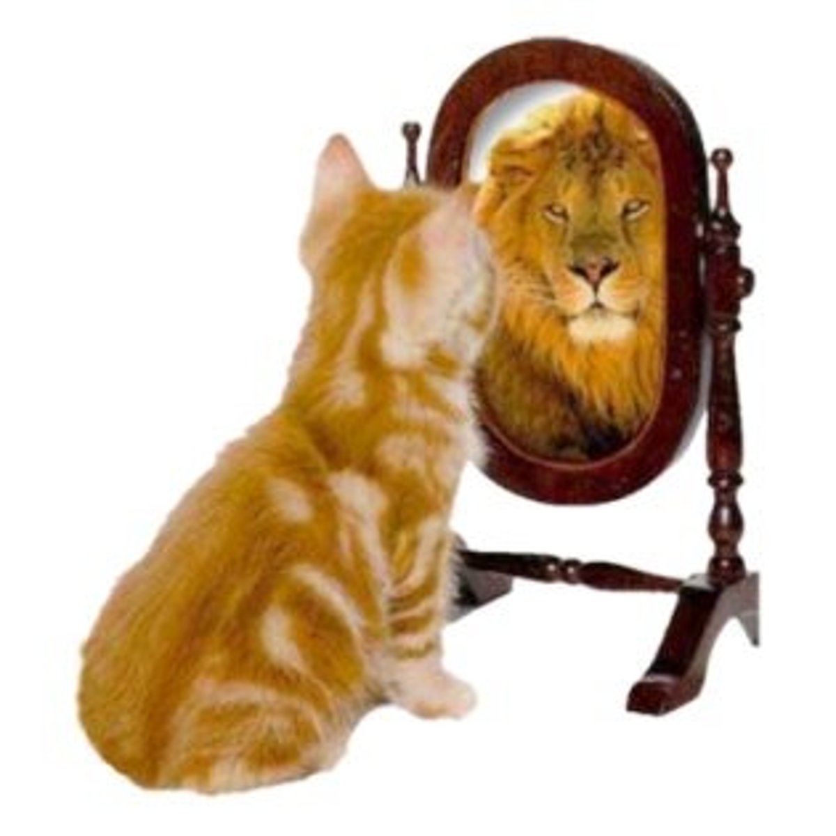 <p>to look (like - appearance)</p>