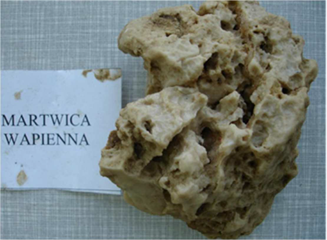 <p>Martwica Wapienna - osadowe</p>