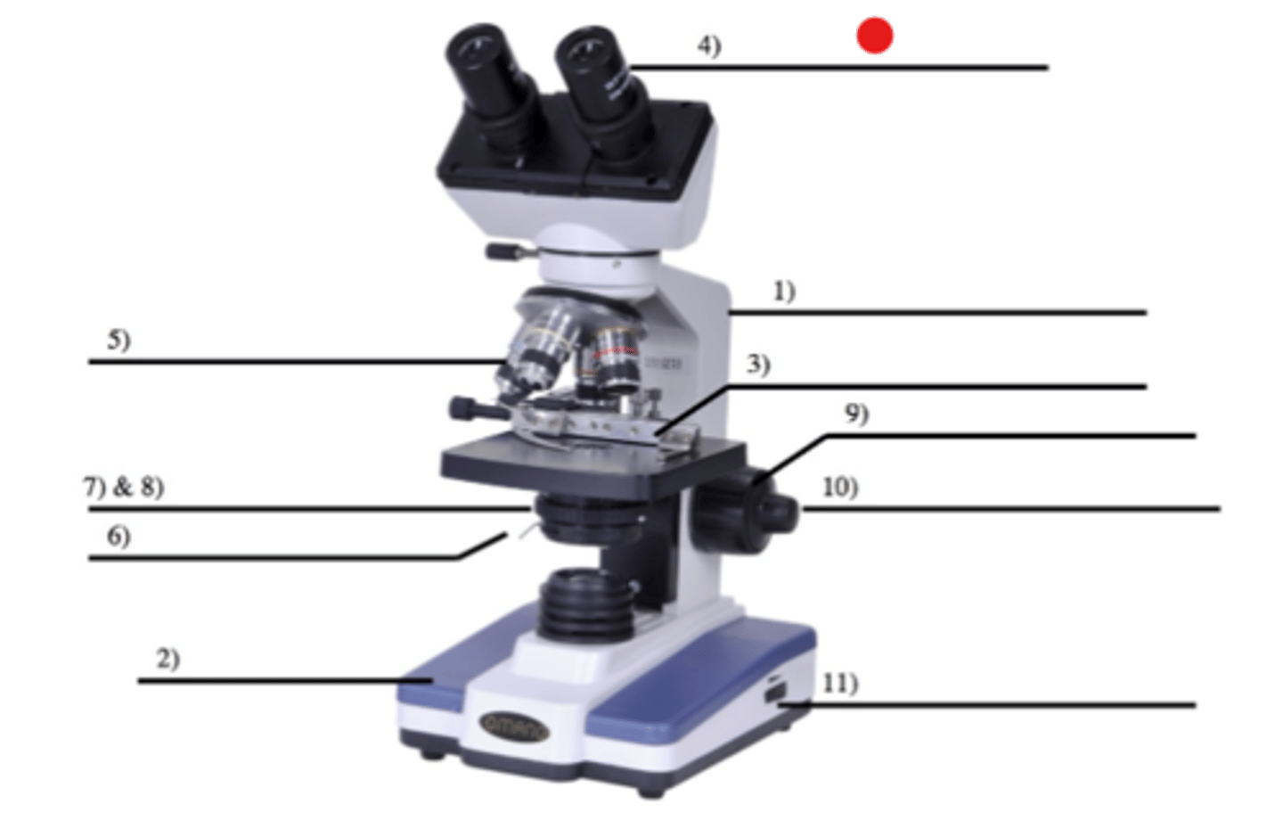 <p>4</p><p>- Otherwise known as the "eyepiece"</p><p>- Objects are viewed by looking through </p><p>- The magnification of our microscopes are 10x</p>