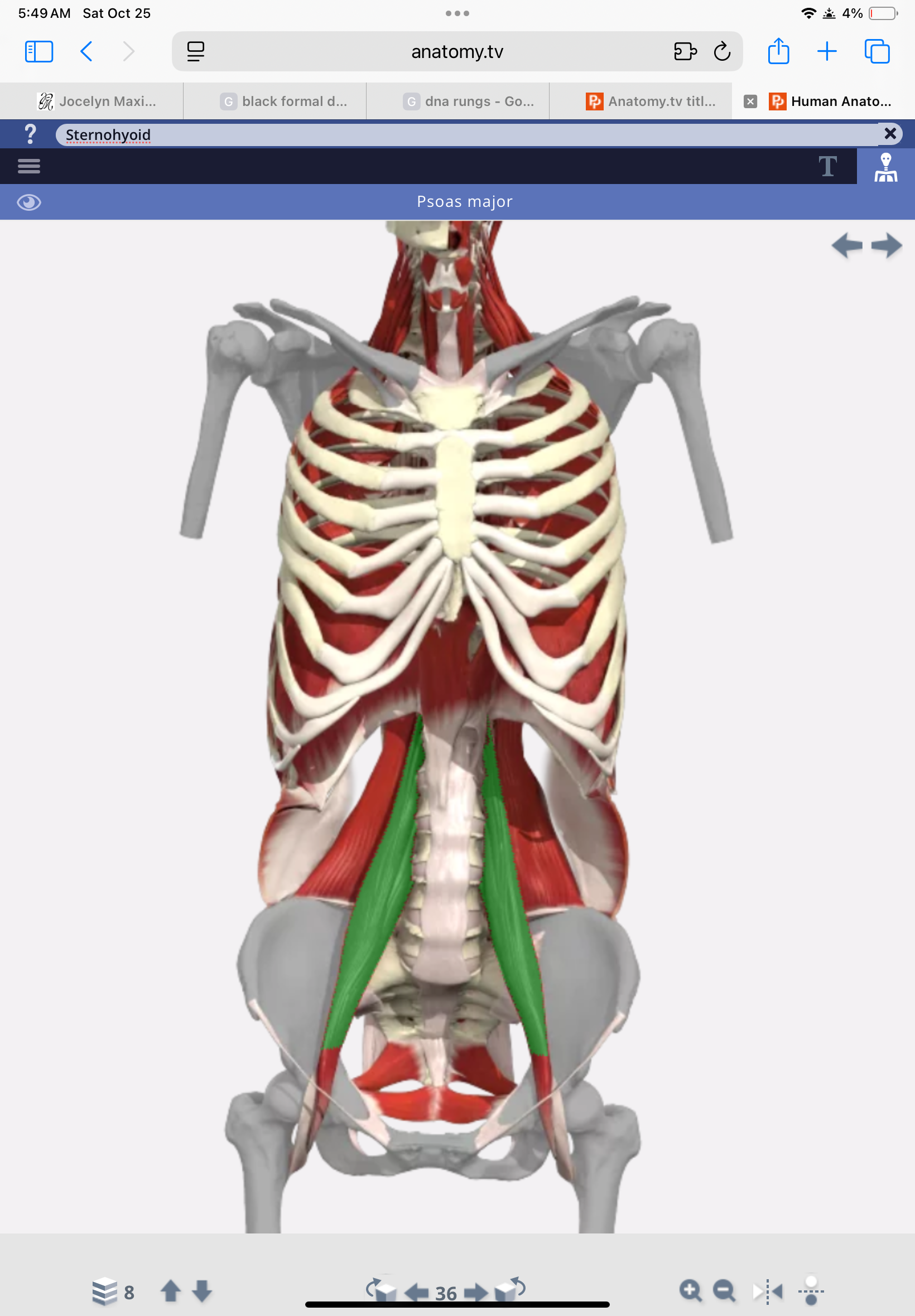 knowt flashcard image